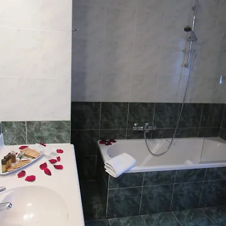 Green Hotel Settimo Torinese